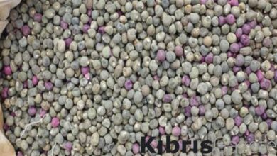 1 tutam tuketen hastalik yuzu gormuyor kireclenme diyabet kanser b3AKrJ7e