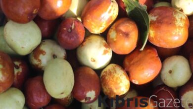 Aç karnına 2-3 tane hünnap yiyin, olanlara bakın... 2 ac karnina 2 3 tane hunnap yiyin olanlara bakin S5YpPzvK