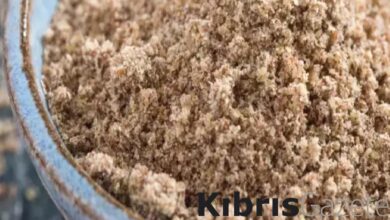 baliktan 7 bin kat daha faydali kansere resmen savas aciyor iste o besin 2FYz8L3y