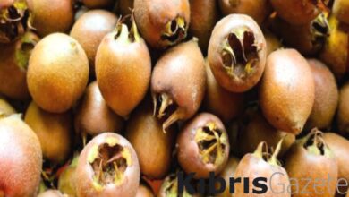 Bir meyve, bin fayda! Yiyen hastalık yüzü görmüyor 1 bir meyve bin fayda yiyen hastalik yuzu gormuyor fOQgLcaz