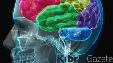 Bu 10 özelliği taşıyorsanız: Üstün zekalısınız! İşte üstün zekalıların fark yaratan özellikleri 1 bu 10 ozelligi tasiyorsaniz ustun zekalisiniz iste ustun zekalilarin fark yaratan ozellikleri L2Iku2jf