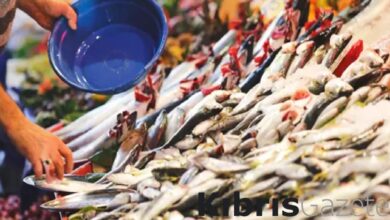 bu baligi yiyenler o hastaliktan sonsuza kadar kurtulacak gozumuzun onundeki sakli cevher FmUhmuIy