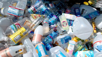 Çevre Koruma Dairesi’nden ada genelinde denetim 1 cevre koruma dairesinden ada genelinde denetim HyuAjrZ7