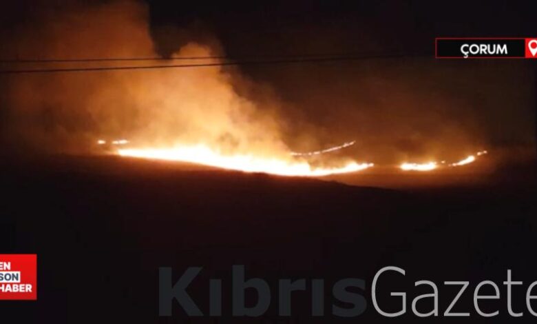 corum alacada aniz yangini VSi5kFVd