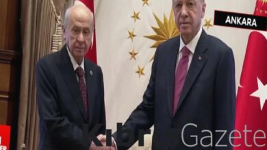 cumhurbaskani erdogan mhp genel baskani devlet bahceliyi kabul etti SFWM1tJa