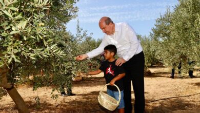 cumhurbaskani ersin tatar zeytin hasat festivaline katildi IZZ67HQl