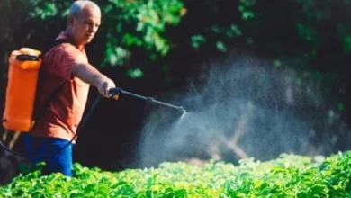 dunya ilac devinde kanser skandali 1 milyon 250 bin dolar tazminat odeyecek 9v9N3RTY