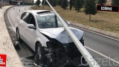 edirnede otomobilin icine giren sivrisinek kazaya sebep oldu 4YDqhIZI