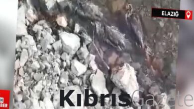 Elazığ'da su kenarındaki şüpheli keklik ölümleri tedirgin etti 1 elazigda su kenarindaki supheli keklik olumleri tedirgin etti FTcgLxcJ