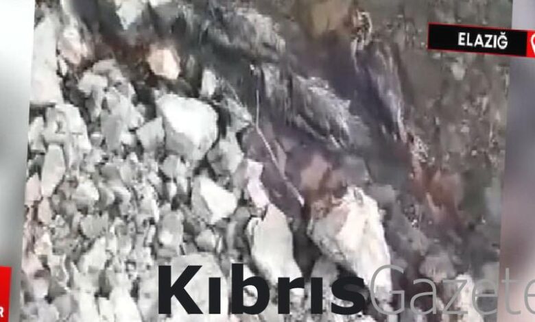 Elazığ'da su kenarındaki şüpheli keklik ölümleri tedirgin etti 1 elazigda su kenarindaki supheli keklik olumleri tedirgin etti FTcgLxcJ