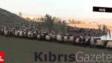 gocerler erzurumdan mardine donerken musa ugradi TA8MEwF5