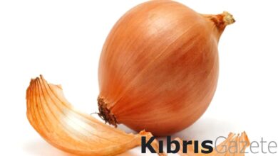 her gun 1 sogan yerseniz bakin neler oluyor 1kwQhZuZ