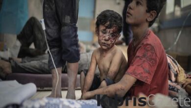 İsrailli akademisyen Gordon: Filistinlileri katletmek için "insandışı" gösteriyorlar 5 israilli akademisyen gordon filistinlileri katletmek icin insandisi gosteriyorlar izw8CKU1