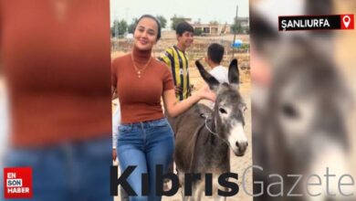 Kasten yaralama’dan hüküm giyen sosyal medya fenomeni tutuklandı 3 kasten yaralamadan hukum giyen sosyal medya fenomeni tutuklandi Eq4sSECC