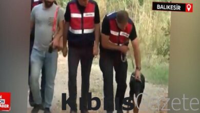 Korhan Berzeg'i arama çalışması sona erdi: 130 günde bulunamadı 6 korhan berzegi arama calismasi sona erdi 130 gunde bulunamadi BBCWBOlw