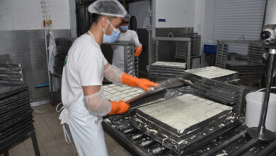 Küçükbaşa teşvik 7 kucukbasa tesvik sdLj8Gag