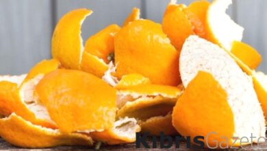 mandalina kabuklari sakin cope atmayin tam bir sifa deposu kaynatip icerseniz yUpJGmcn