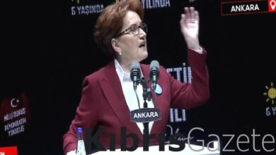 meral aksener cumhuriyeti bir siyasi parti degil turk milleti kurmustur qh8kbJap