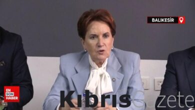 Meral Akşener: Sayın Erdoğan süreci sakin bir tutumla götürdü 8 meral aksener sayin erdogan sureci sakin bir tutumla goturdu BzcO4nPn