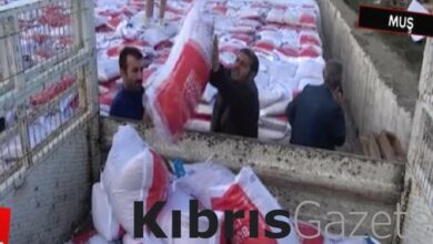 Muş'ta devlet desteğiyle 595 ton buğday tohumu dağıtılmaya başlandı 4 musta devlet destegiyle 595 ton bugday tohumu dagitilmaya baslandi dBp63ITC