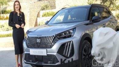 peugeot turkiye genel muduru gulin reyhanoglu sektoru degerlendirdi 1br9RBey