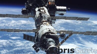 uzayda uremenin onu acildi tarihte ilk kez uzayda fare embriyosu buyutuldu sLjgz61C