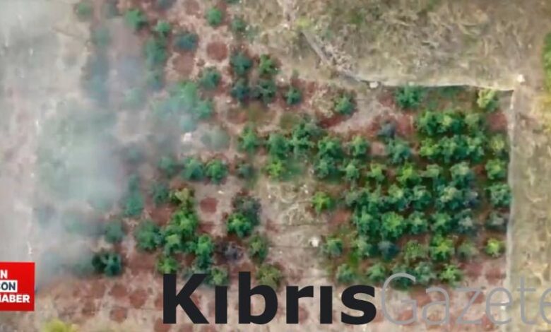 32 ilde narkoguc operasyonu 199 supheli yakalandi Wb3GvtAx