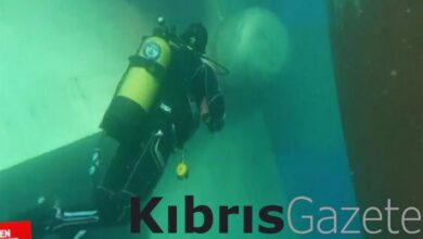 Adana'da kuru yük gemisinde 51 Kilo 750 Gr kokain ele geçirildi 9 adanada kuru yuk gemisinde 51 kilo 750 gr kokain ele gecirildi ICnEBHqa