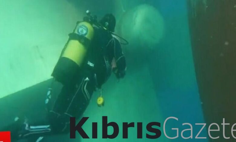 adanada kuru yuk gemisinde 51 kilo 750 gr kokain ele gecirildi ICnEBHqa