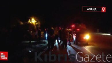 adanada sokak kopekleri can aldi QGPd1rsm