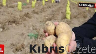 afyonkarahisarda o koy gecimini patates uretiminden sagliyor nugumxa9