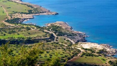 akamada ceset bulundu OTsQv9Hw