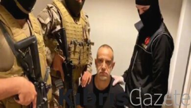 ali yerlikaya kafes operasyonunda 37 supheli yakalandi qN3qhFnm
