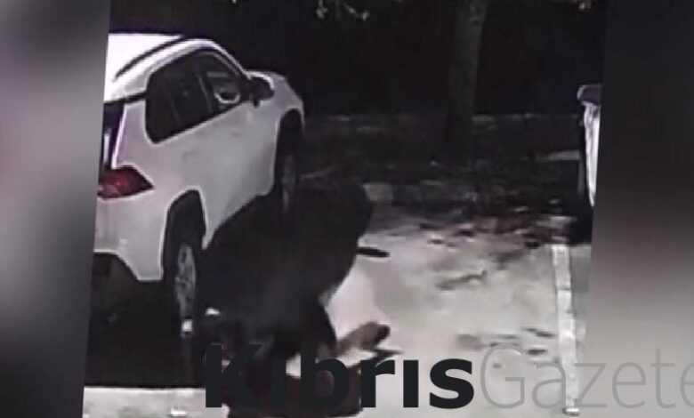 amerikada eski mma dovuscusu saldirgani etkisiz hale getirdi KKn4v4SE