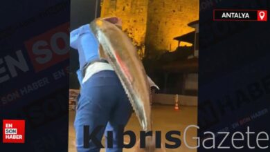 antalyada amator balikci olta ile boyu kadar balik yakaladi vJs7Q8Lt