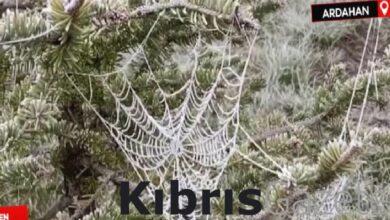 ardahanda soguk hava nedeniyle sis ve kiragi olustu n2SS6zB5