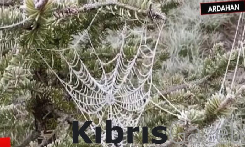 ardahanda soguk hava nedeniyle sis ve kiragi olustu n2SS6zB5