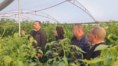 Bakan Çavuş, rüzgardan hasar alan seraları inceledi 8 bakan cavus ruzgardan hasar alan seralari inceledi cezXVYui