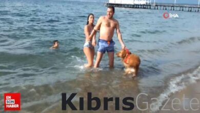 Balıkesir'de güzel havayı görünce sahillere akın etti 8 balikesirde guzel havayi gorunce sahillere akin etti u2VGH8Vv