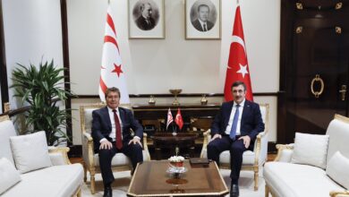 basbakani ustel ankarada turkiye cumhurbaskani yardimcisi yilmaz ile gorustu sacT3AKM