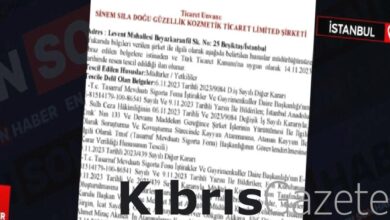 Başsavcılık kararını verdi: Dilan-Engin Polat çiftinin şirketlerine kayyum atandı 9 bassavcilik kararini verdi dilan engin polat ciftinin sirketlerine kayyum atandi xaVYGdAL