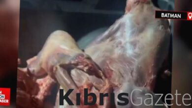 batmanda 21 isletmeye 442 bin lira kacak et cezasi gSlgHW91