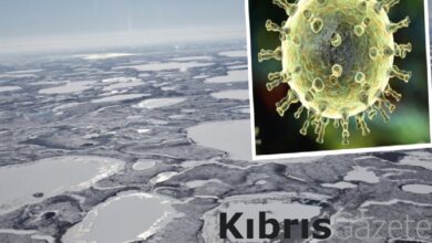 Bilim insanları uyardı: Ölümcül Faktör X virüsünün donmuş topraklardan ortaya çıkması çok yakın 1 bilim insanlari uyardi olumcul faktor x virusunun donmus topraklardan ortaya cikmasi cok yakin RMqJh6vk