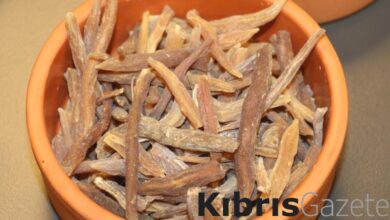 Bu bitki cinsel gücü artırıyor! Altından bile daha değerli… 1 bu bitki cinsel gucu artiriyor altindan bile daha degerli YSI7Wtan