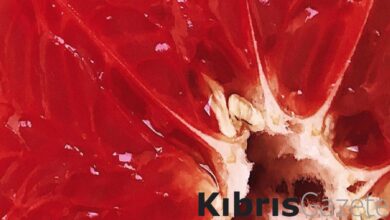 Bu meyveyi yanlış tüketmek canınızdan edebilir! Anında zehirliyor... 1 bu meyveyi yanlis tuketmek caninizdan edebilir aninda zehirliyor yHeNszOr