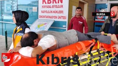 Bursa'da köpeğin saldırısına uğrayan inşaat işçisi yaralandı 7 bursada kopegin saldirisina ugrayan insaat iscisi yaralandi ll9iv3OI