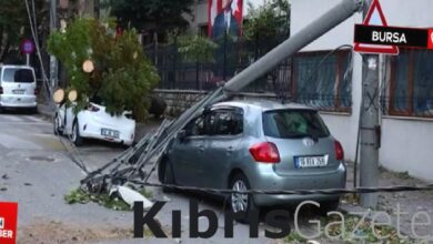 bursada lodos nedeniyle agac ve elektrik diregi araclarin uzerine devrildi vHt29YHi