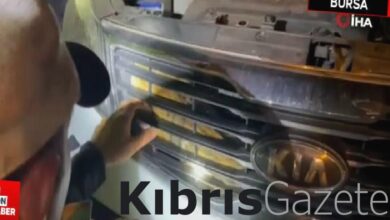 Bursa'da polisin dikkati kediyi ölümden kurtardı 1 bursada polisin dikkati kediyi olumden kurtardi cItbR32H