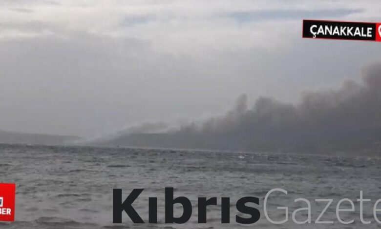 canakkalede orman yangini 9nSeefCs