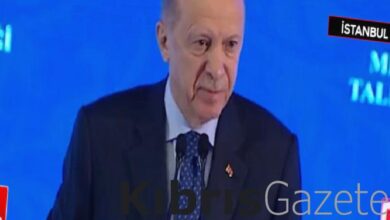 cumhurbaskani erdogan diplomaniz olabilir ama cahil olabilirsiniz HNxbfGag